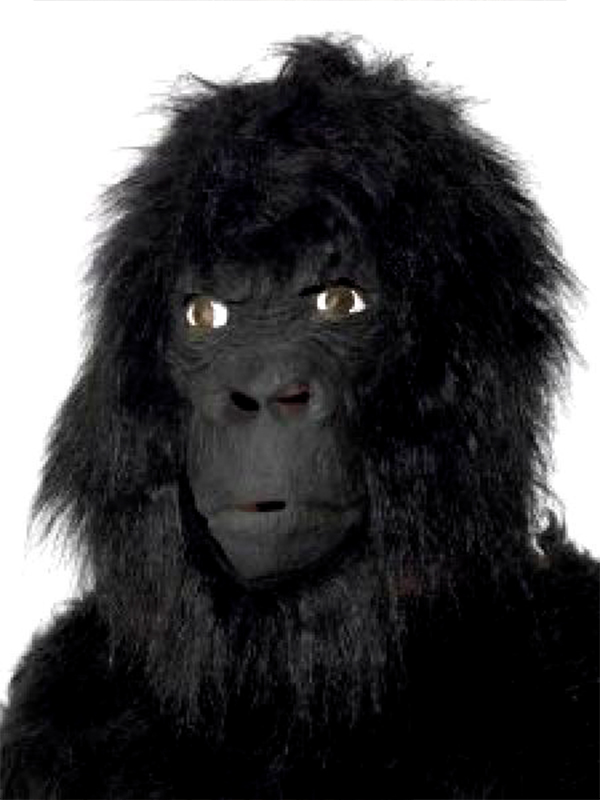 Congratulate, excellent gorillamask site What gorillamask site